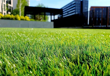 lawn care fertilizing services near me calgary - Leprechaun Lawns