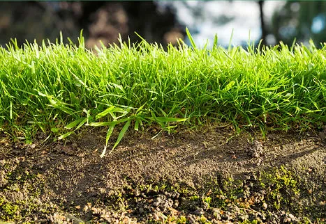 Power raking calgary - Leprechaun Lawns