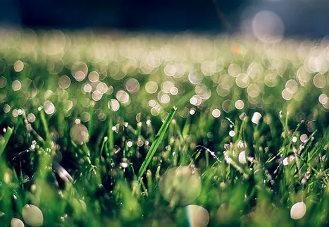 andrew-seaman-5V7WNddh3hc-unspla