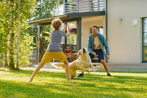 family playing on a well manicured lawn - Leprechaun Lawns