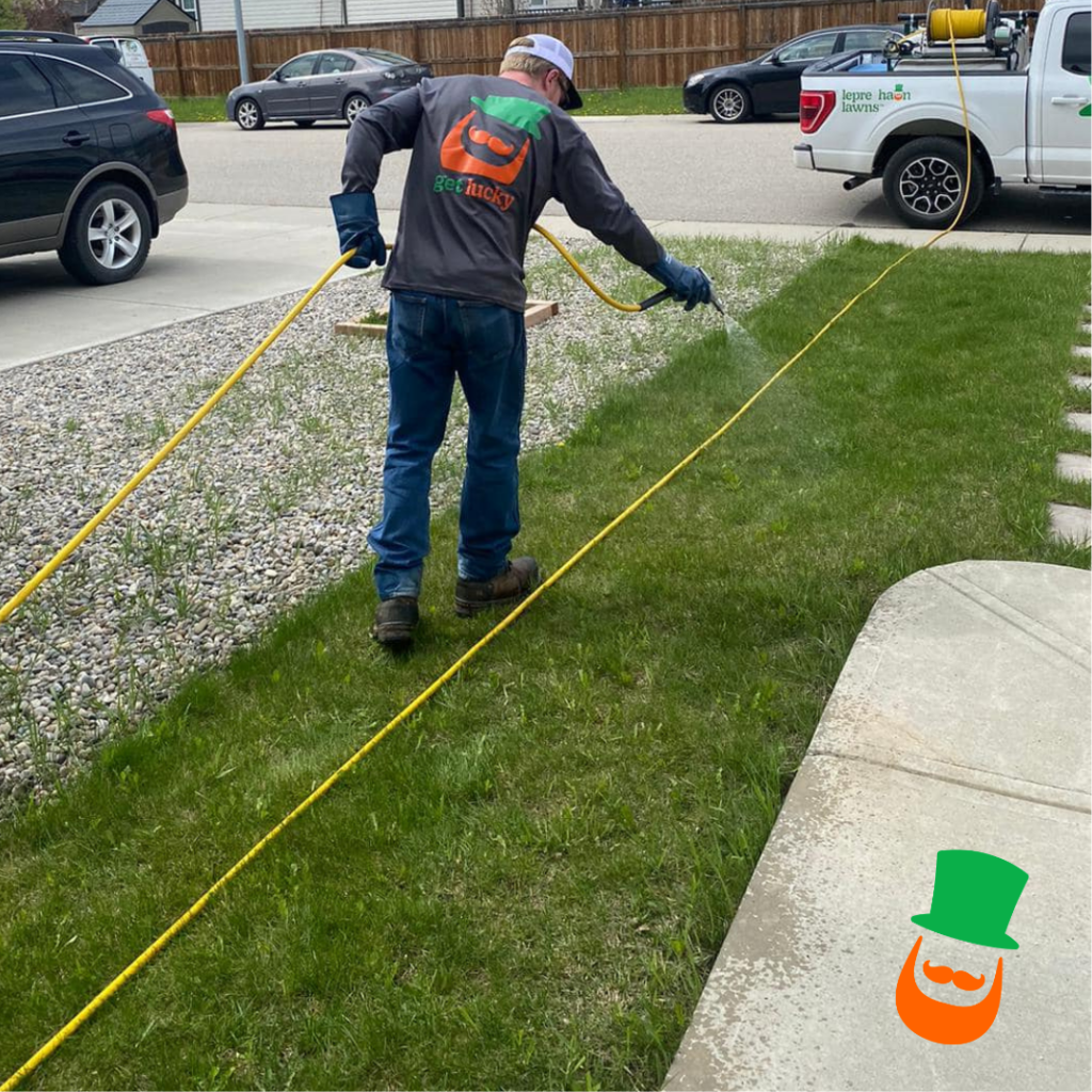 Got weeds - we kill them