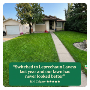 leprechaun lawns reviews